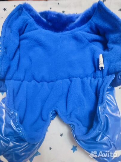 Одежда для собак мелких пород