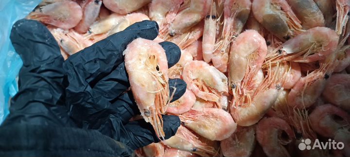 Креветки северные хит, коробка 5кг