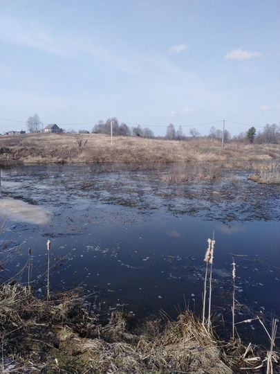 Участок 50 сот. (ИЖС)