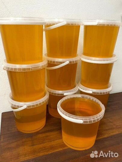 Мед Алтайский свежий