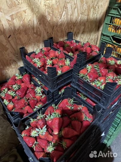 Клубника свежая, бесплатная доставка