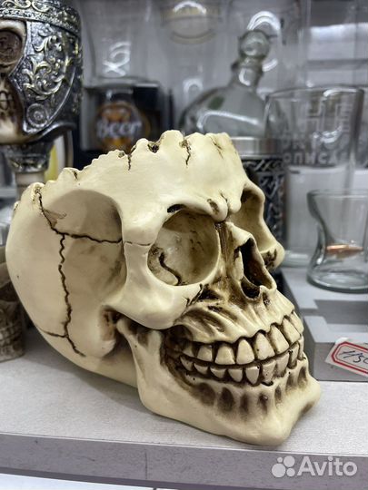 Кружка, стопки и кубок с черепом