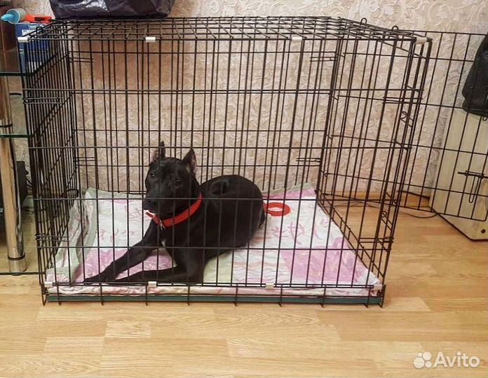 Клетка для перевозки собак
