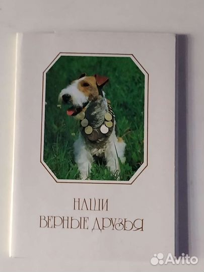 Набор открыток