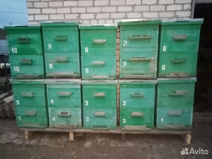 Улей