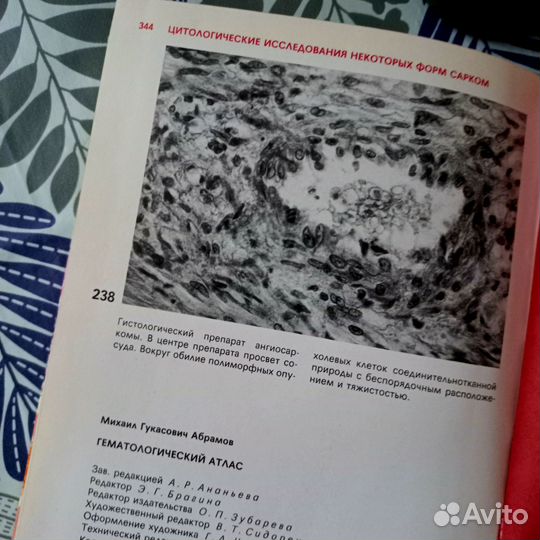 Гематологический атлас 1985 года