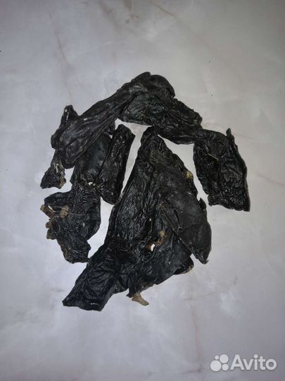 Лакомства для собак