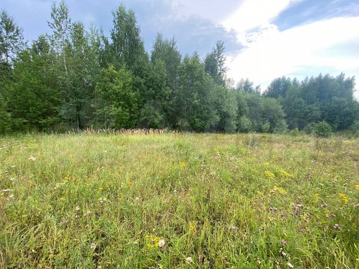 Участок 15 сот. (ИЖС)