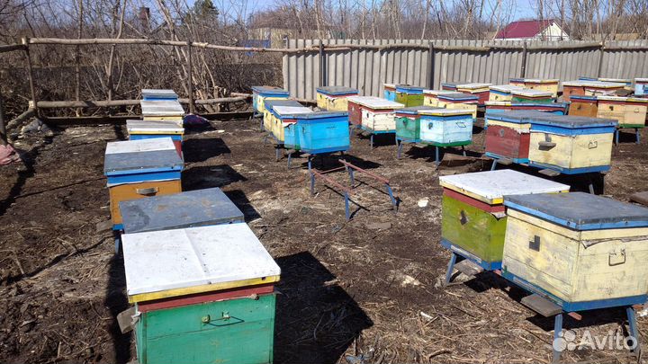 Пчело пакеты