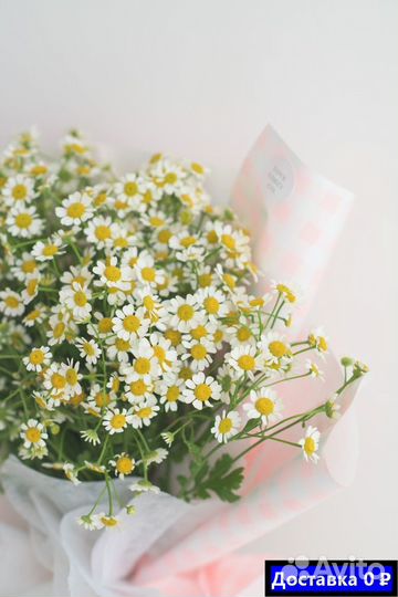 Бесплатная доставка букетов с ромашками