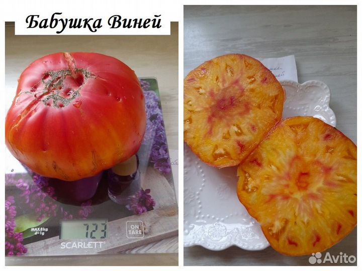 Семена крупноплодных томатов много сортов