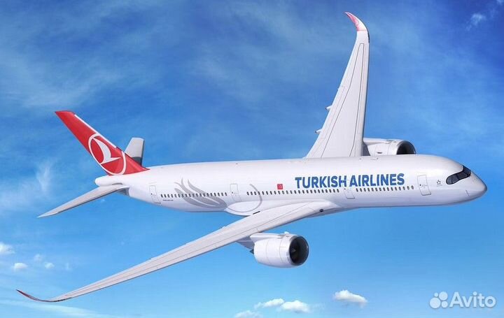 Турция из Калининграда уже в продаже