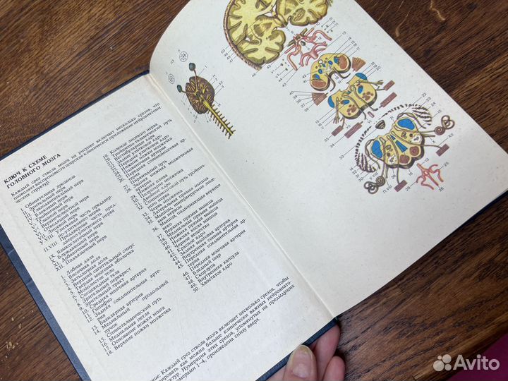 Коллинз Р.Д. Диагностика нервных болезней