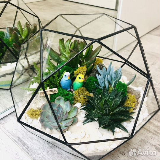Флорариум в шаре