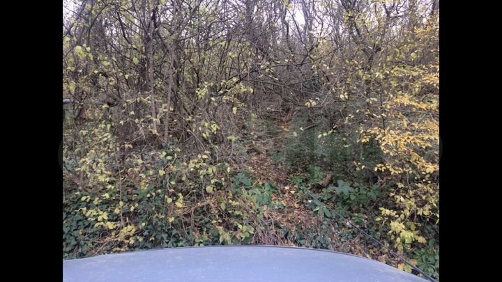 Участок 6 сот. (ИЖС)