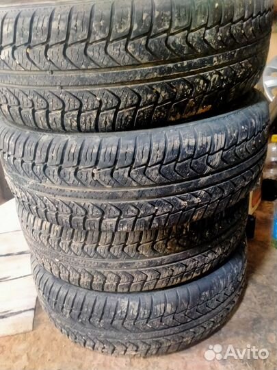 КАМА 365 (241) 215/65 R16 102