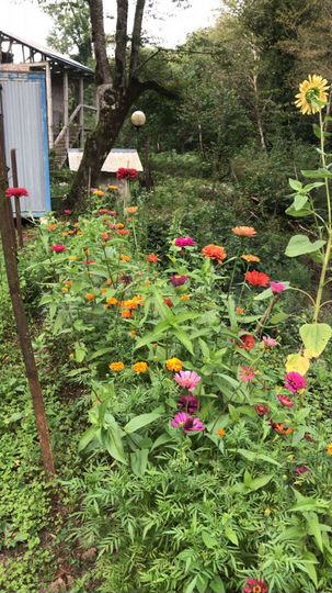 Участок 5 сот. (СНТ, ДНП)