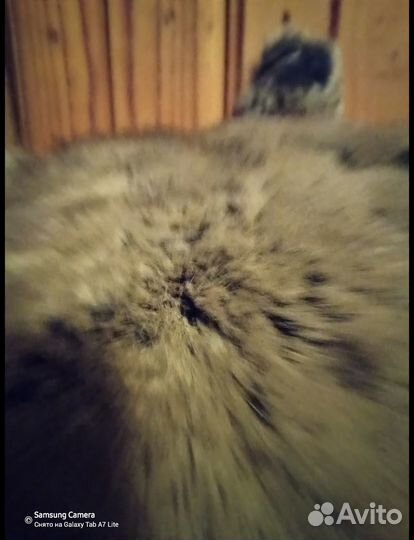 Два рукава роскошный мех кролика для творчества