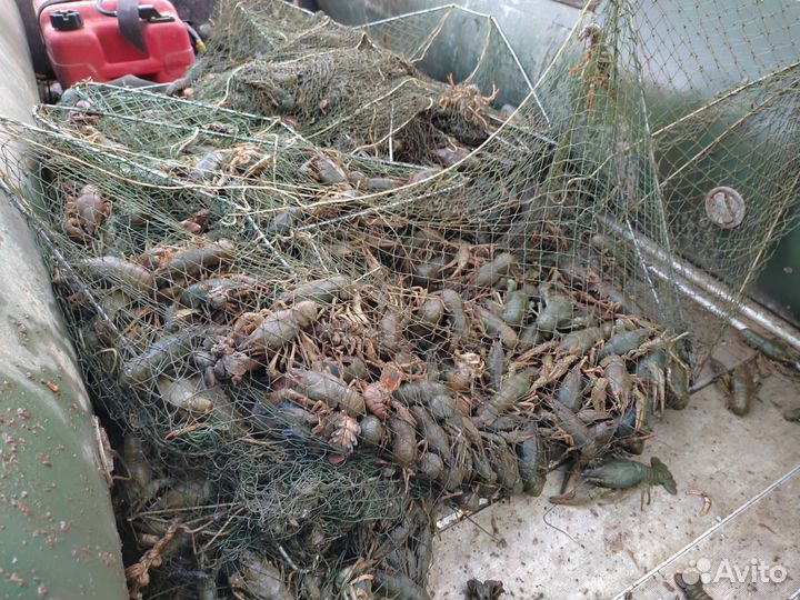 Раколовки дорожки