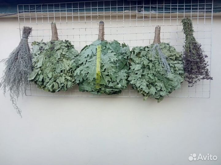 Веники для бани