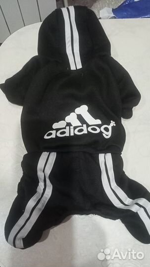 Одежда для собак