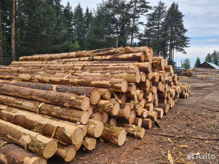 Пиловочник от23