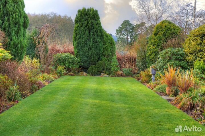 Рулонный газон.Ландшафтное проектирование под ключ