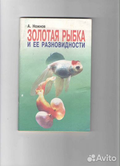 Золотая рыбка и ее разновидности