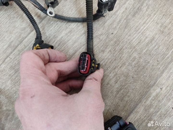 Проводка двигателя Bravo 2 06-14