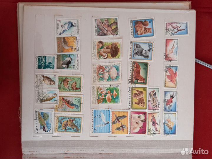 Почтовые марки (Флора-фауна)