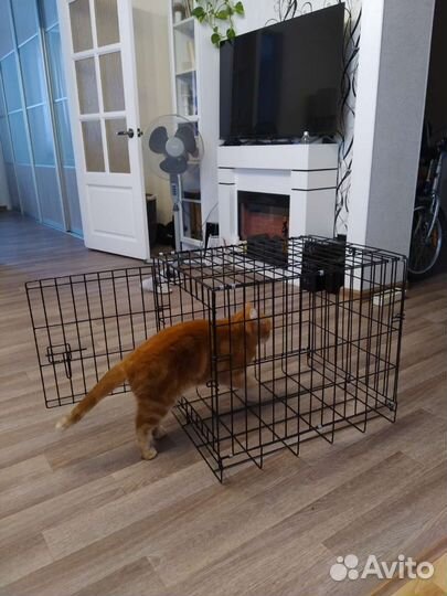 Клетка для собак без поддона
