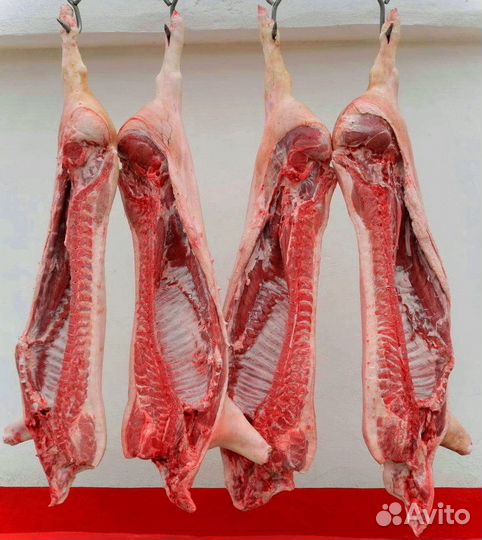 Свинина полутуши