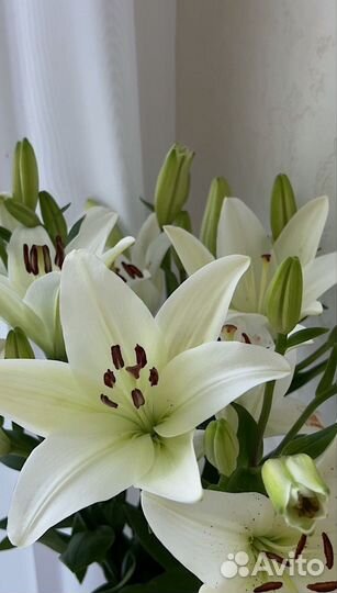 Лилии букет