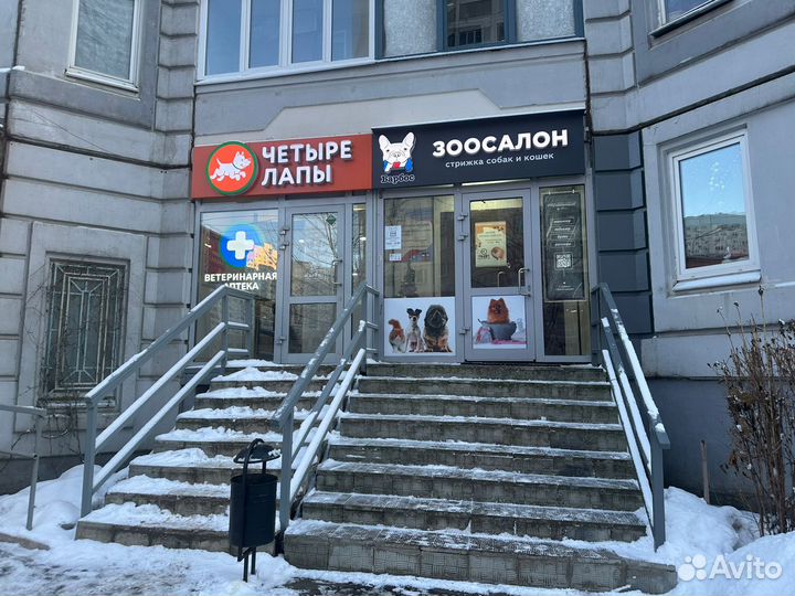 Груминг коворкинг