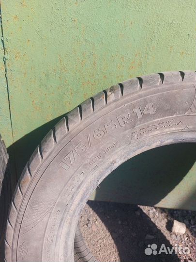 Nokian Tyres Nordman SX 175/65 R14