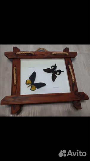 Настоящие бабочки в раме