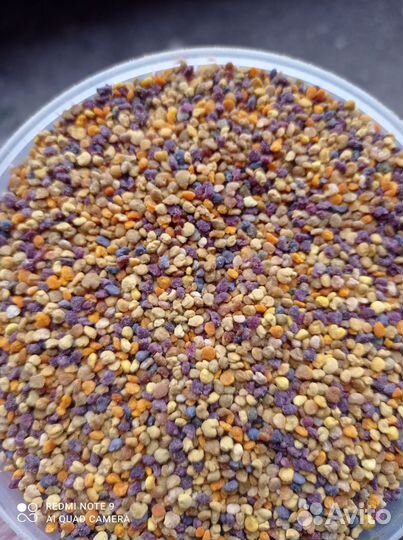 Пыльца цветочная