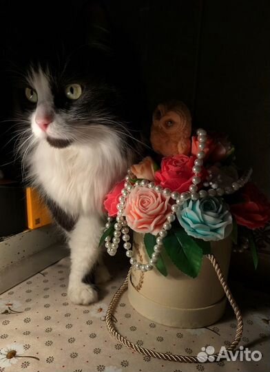 Авторское мыло ручной работы