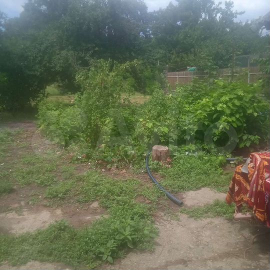 Дом 31,2 м² на участке 24 сот.