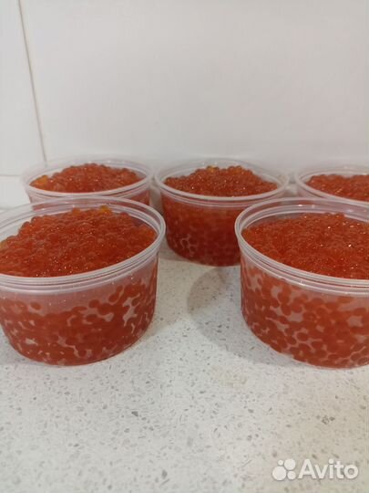 Икра кеты 2023 года