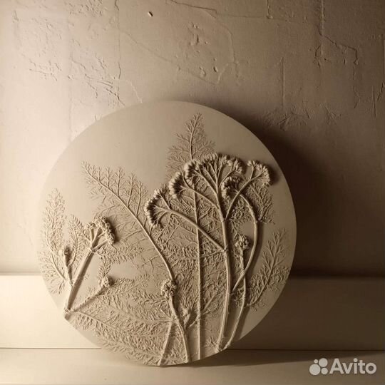 Ботанический барельеф