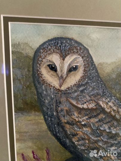 Акварель сова