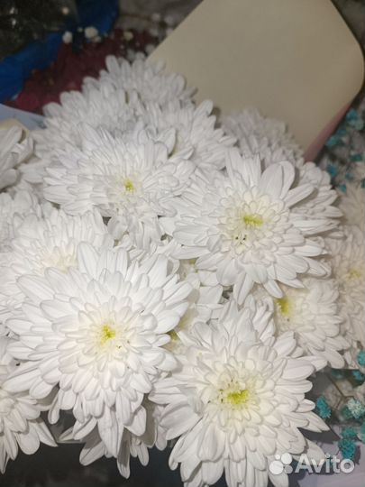 Букет на 1 сентября