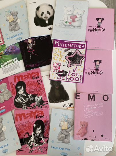 Тетради 48 листов (клетка, линейка)