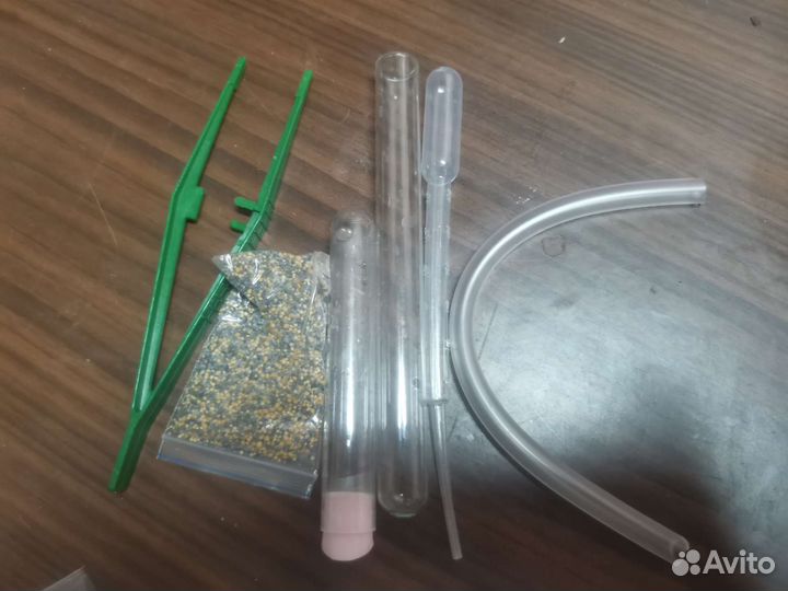 Муравьиная ферма