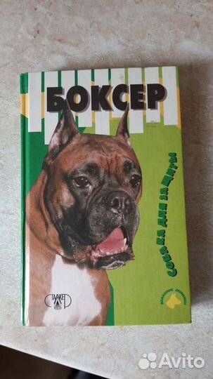 Джимов Михаил. Боксер