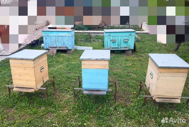 Продам ульи для пчел