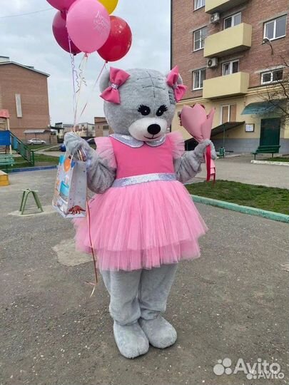 Аниматор (Тедди)