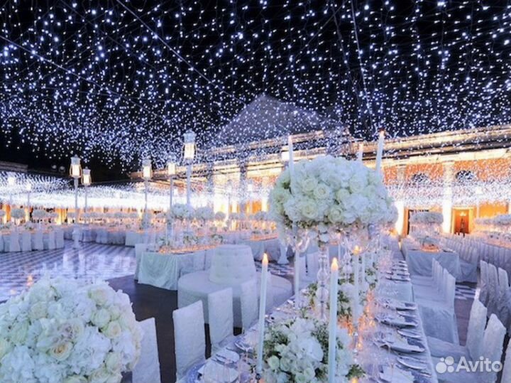 Свадьба Будущего ведущий оформление свадьбы