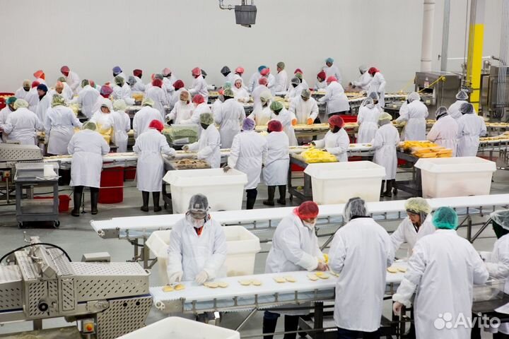 Оператор линни, без опыта, жилье питание бесплатно